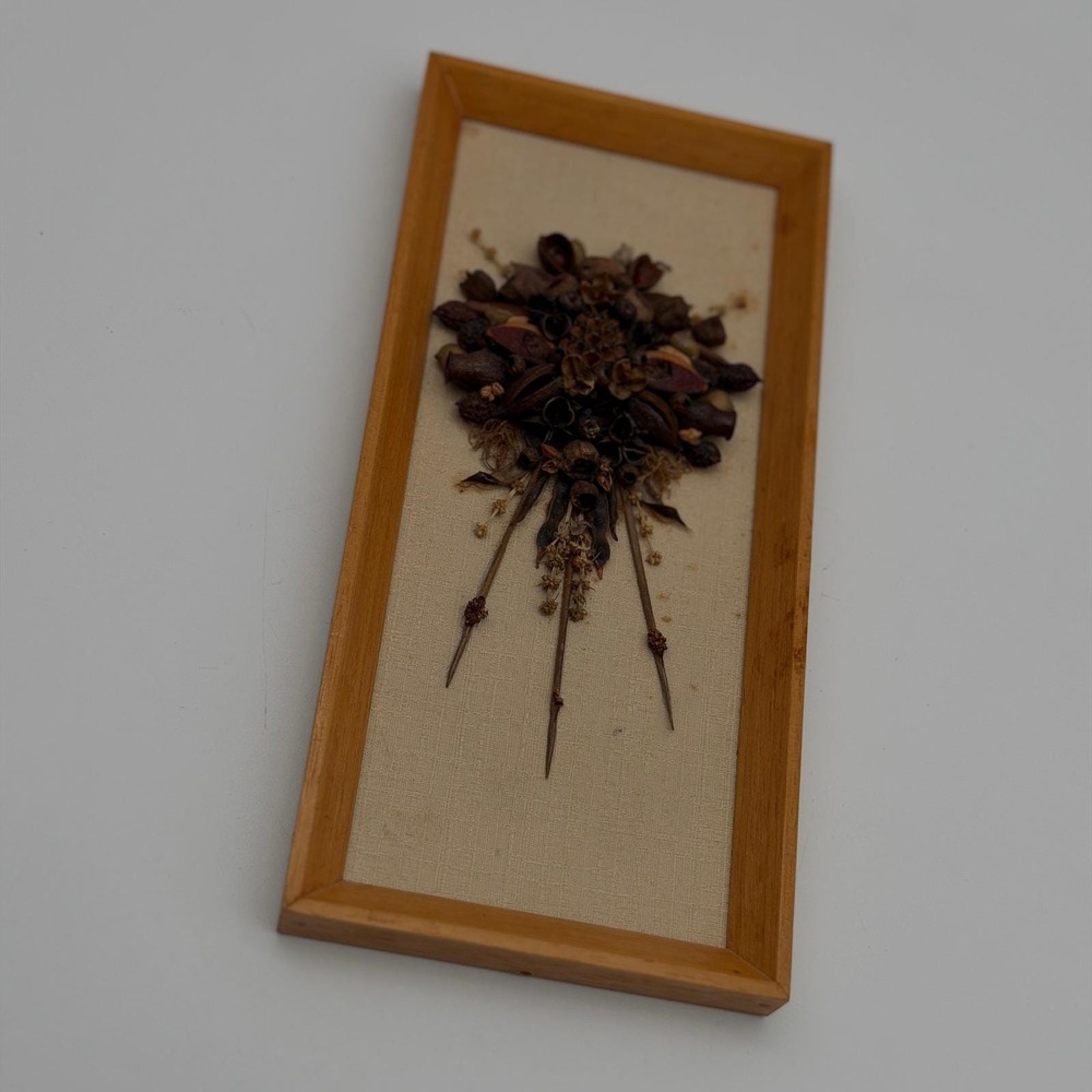 Vintage May Honeyman Australian Grasses and Seed Pods Framed 3D Wall Art 8.5x4